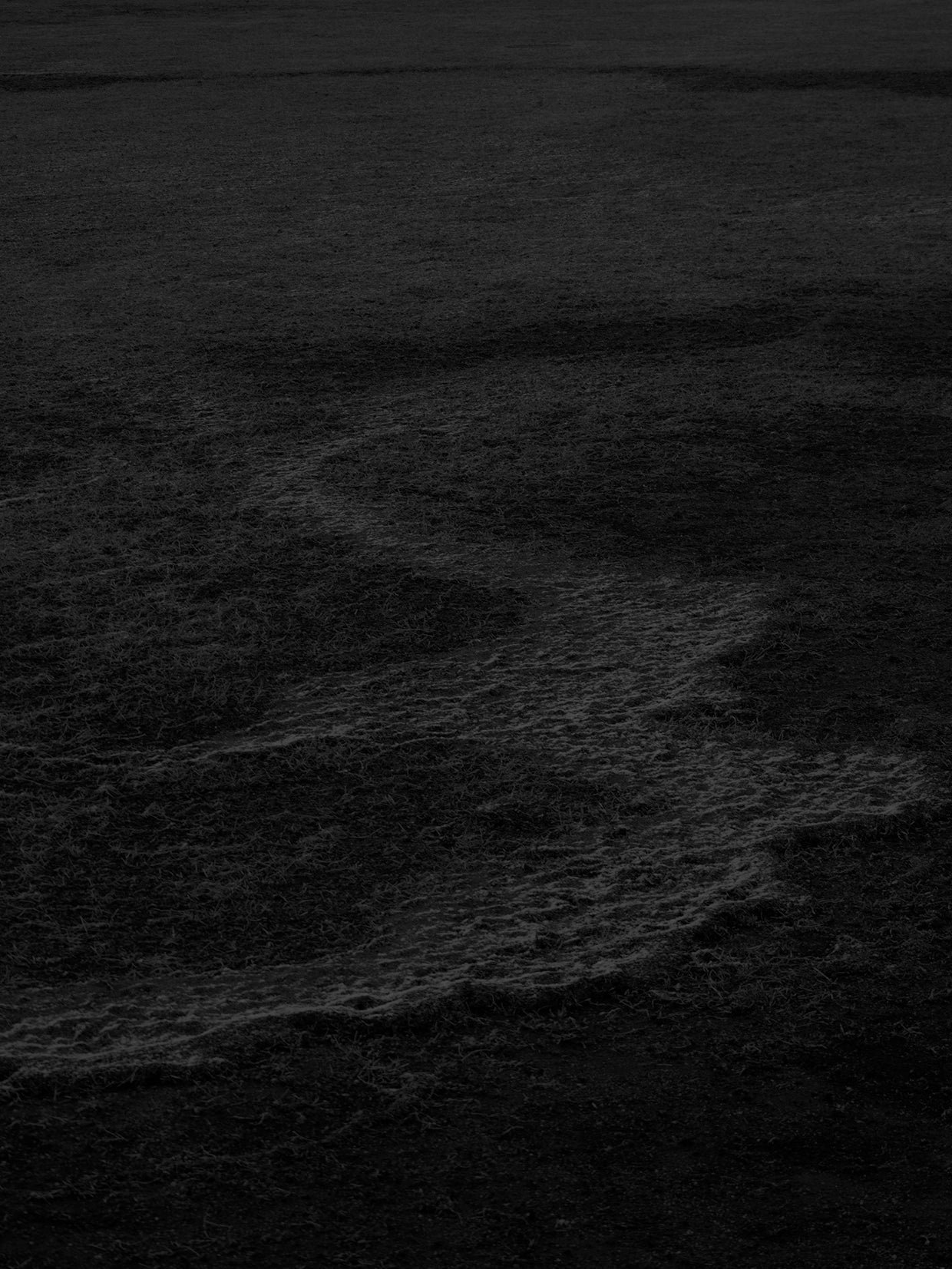 畑直幸写真展 STILLNESS