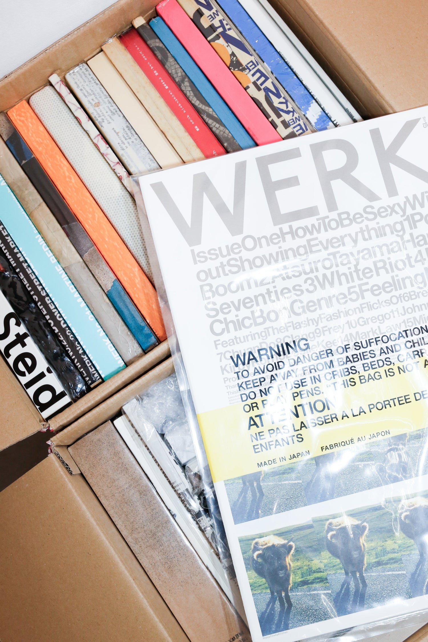 Theseus Chan TALK & BOOK SIGNING