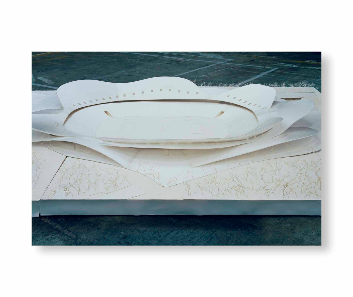 TOKYO OLYMPIA / Takashi Homma