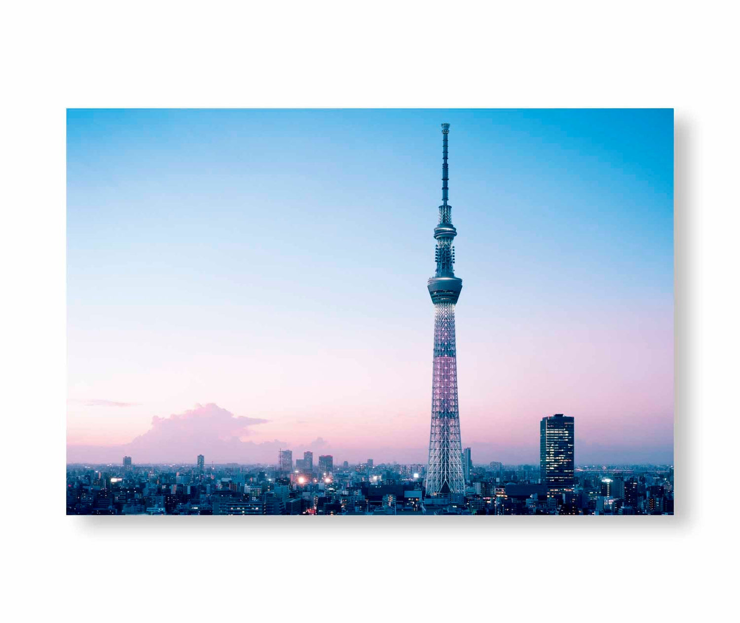 TOKYO OLYMPIA / Takashi Homma