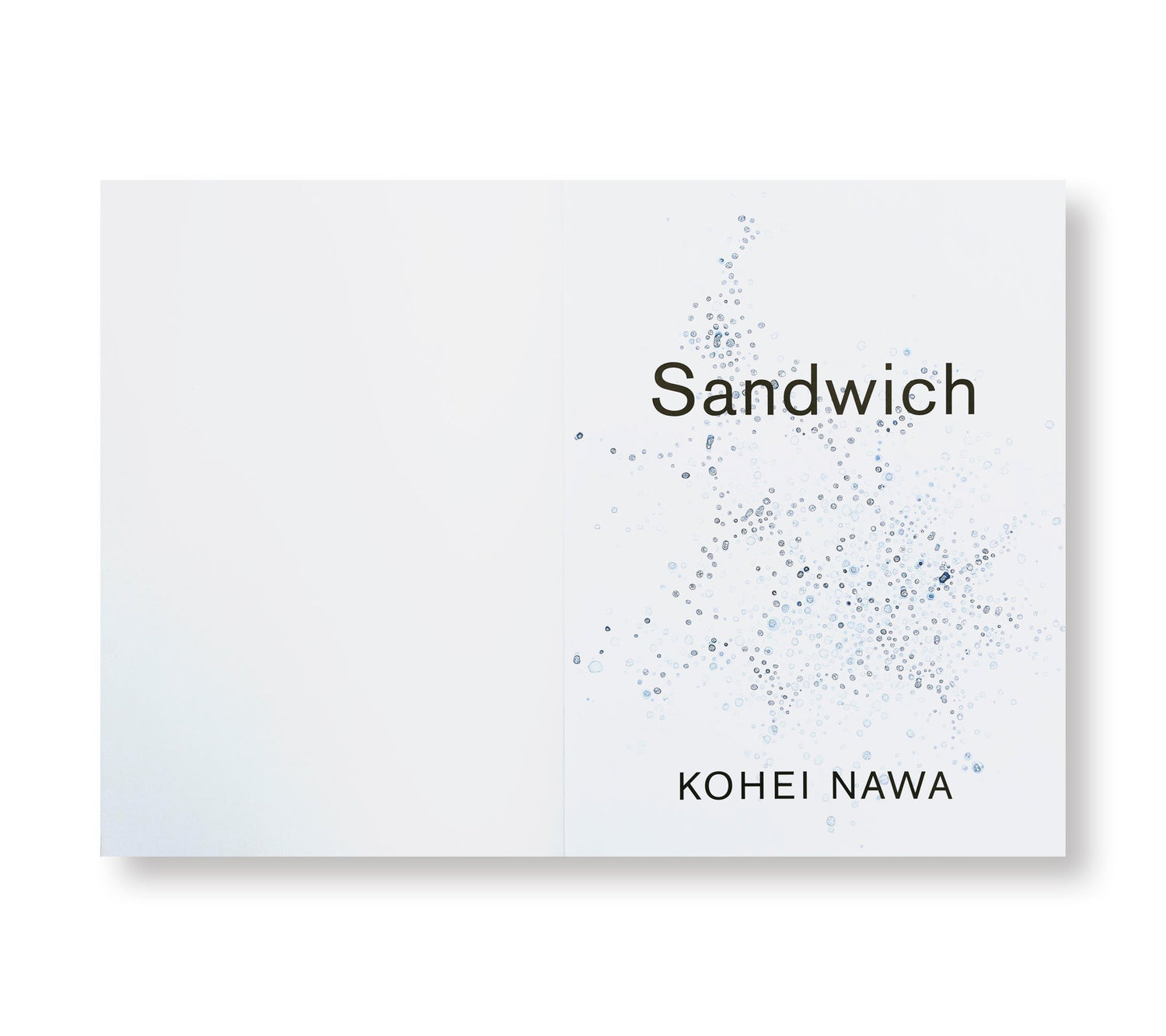 SANDWICH / Kohei Nawa [SIGNED]