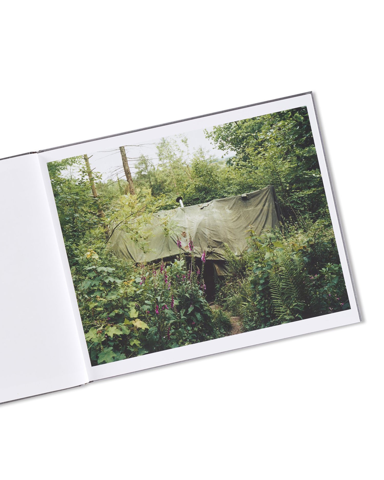 SETTLEMENTS / David Spero