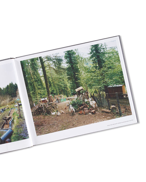 SETTLEMENTS / David Spero