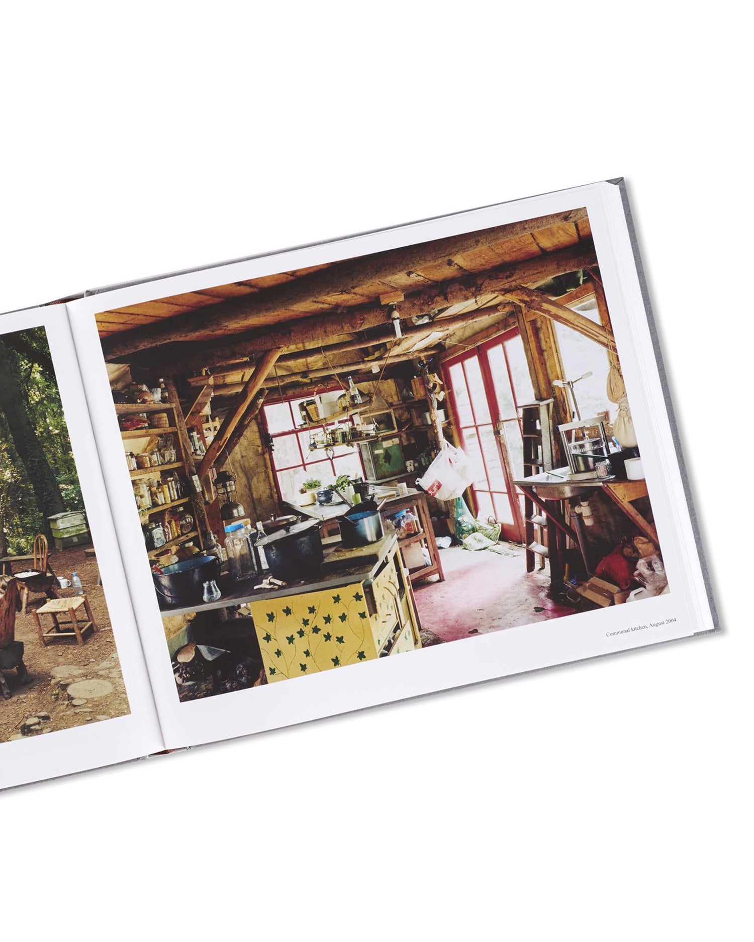 SETTLEMENTS / David Spero