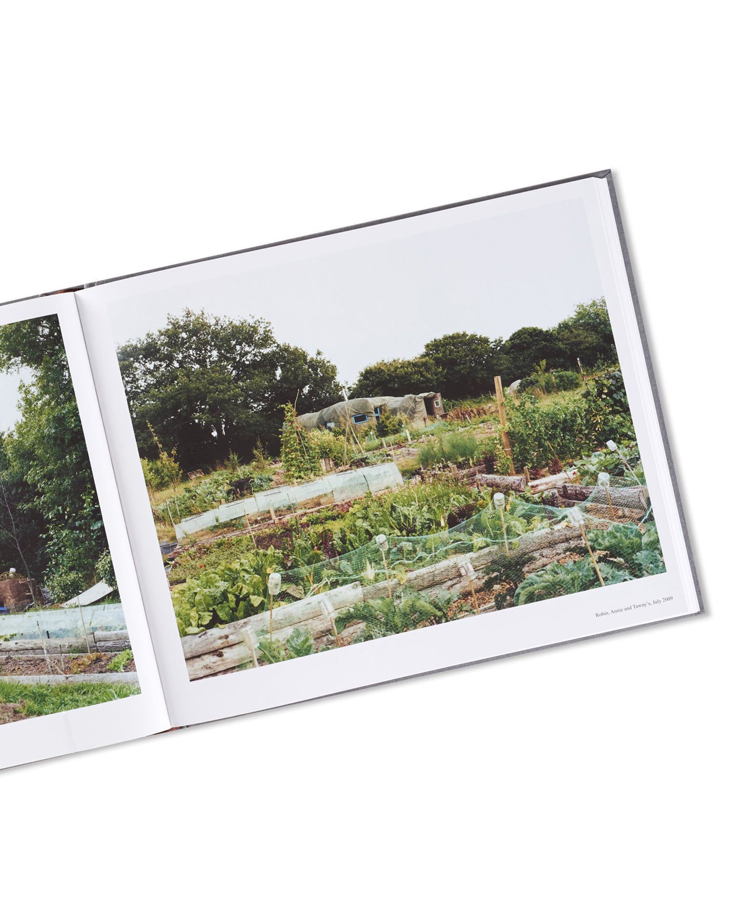 SETTLEMENTS / David Spero