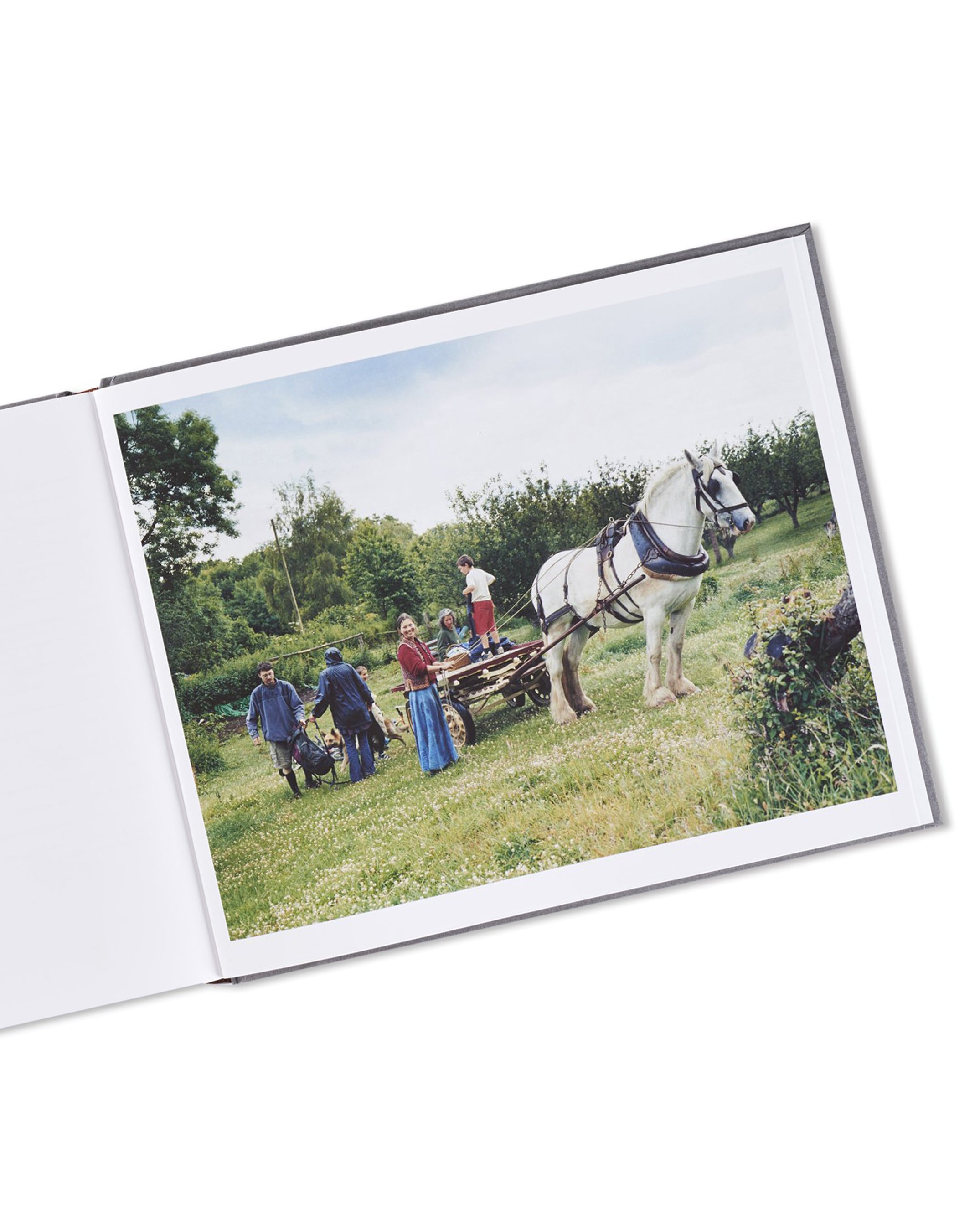 SETTLEMENTS / David Spero - 本屋青旗 Ao-Hata Bookstore