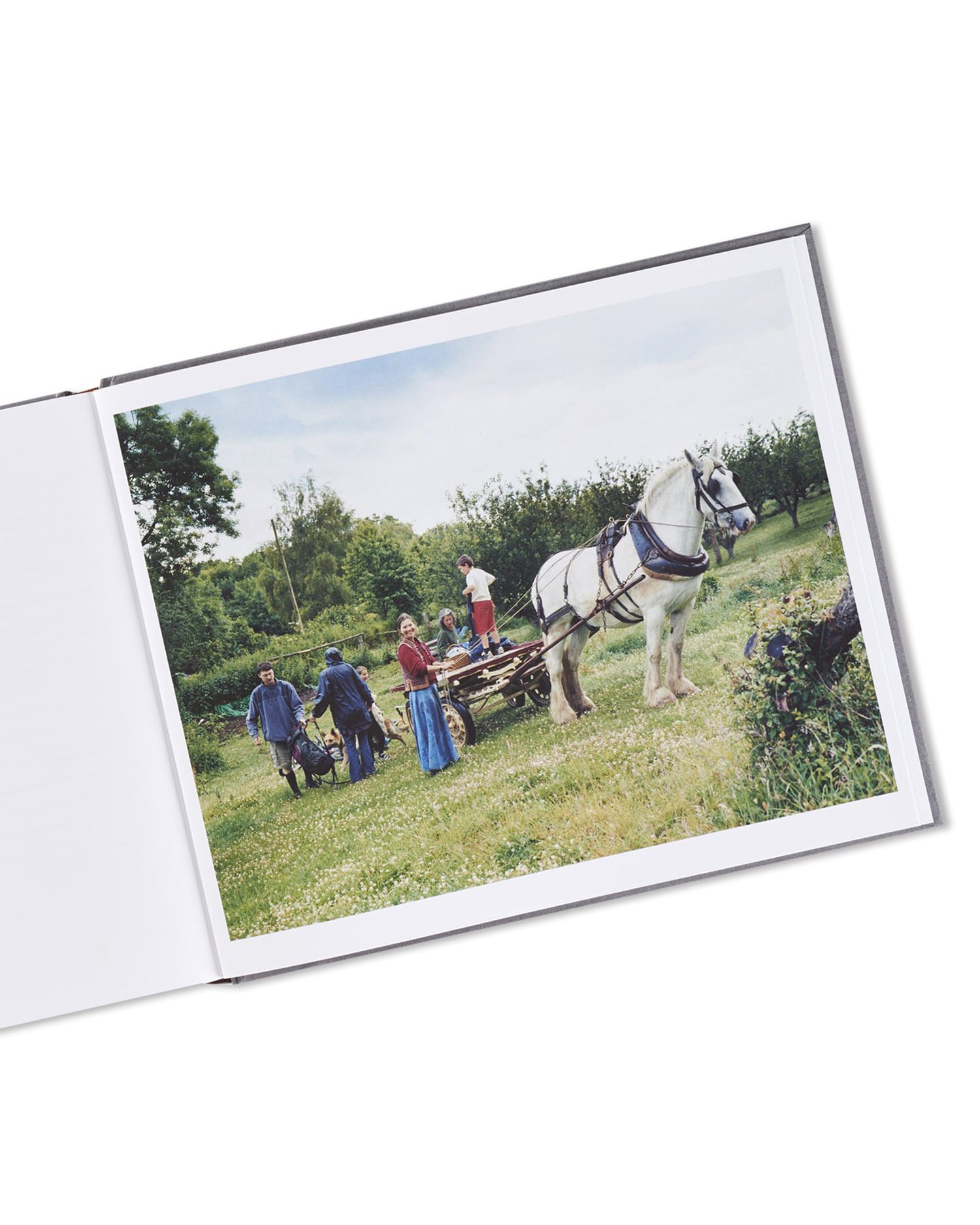 SETTLEMENTS / David Spero