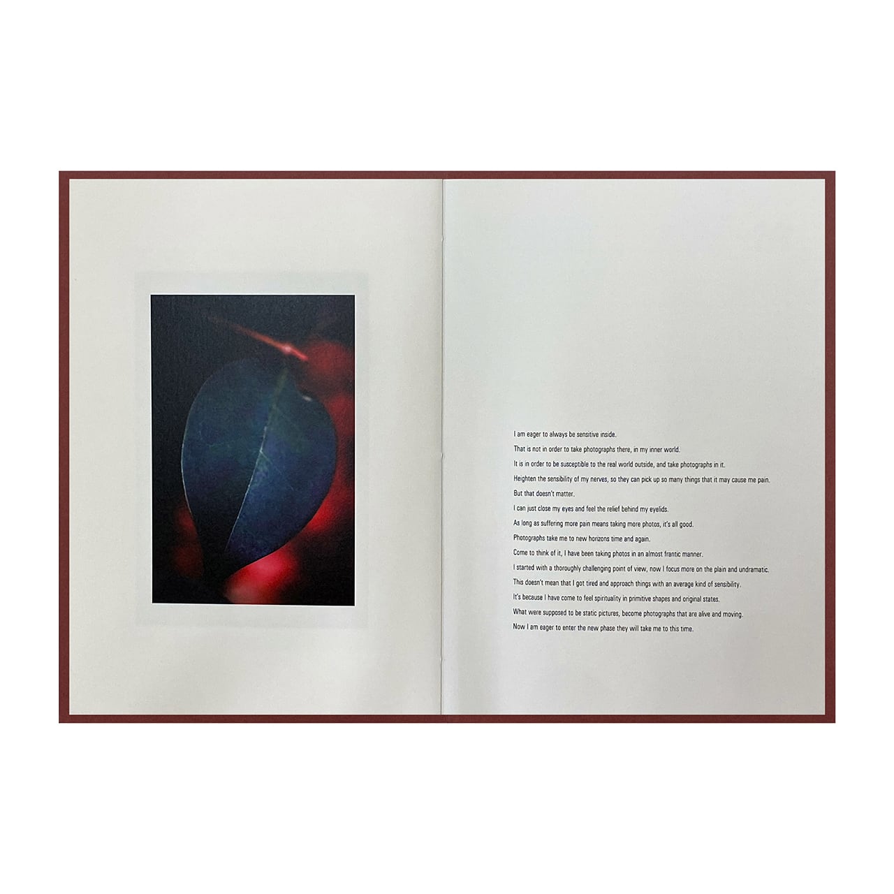 Epiphany / Shimpei Yamagami [SIGNED]