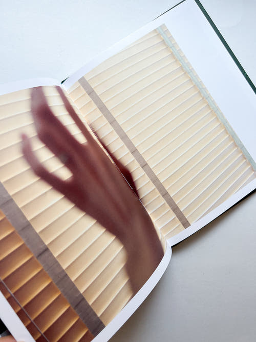 FOLIO /  Viviane Sassen