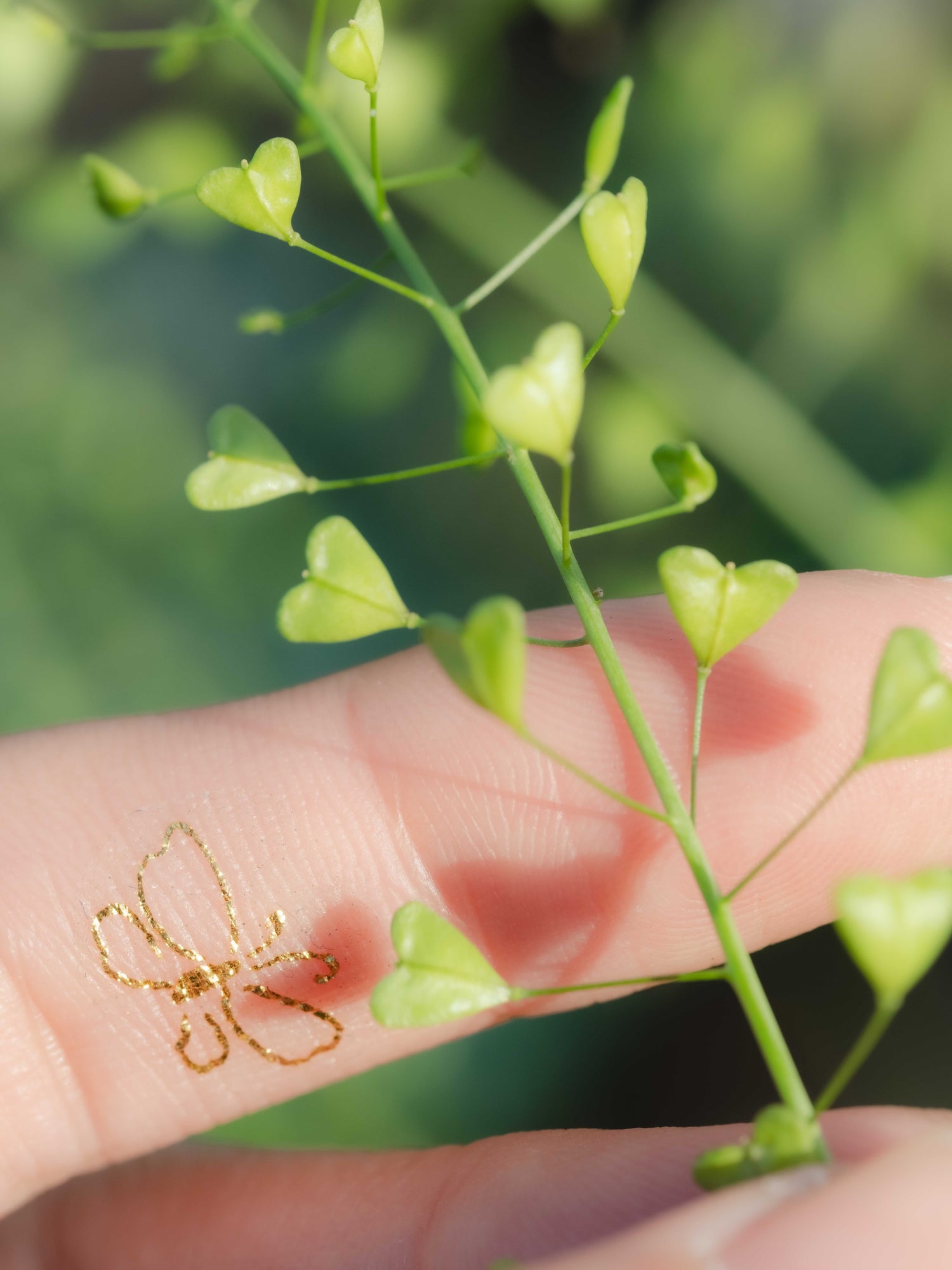 Tattoo Sticker: NEIGHBOUR