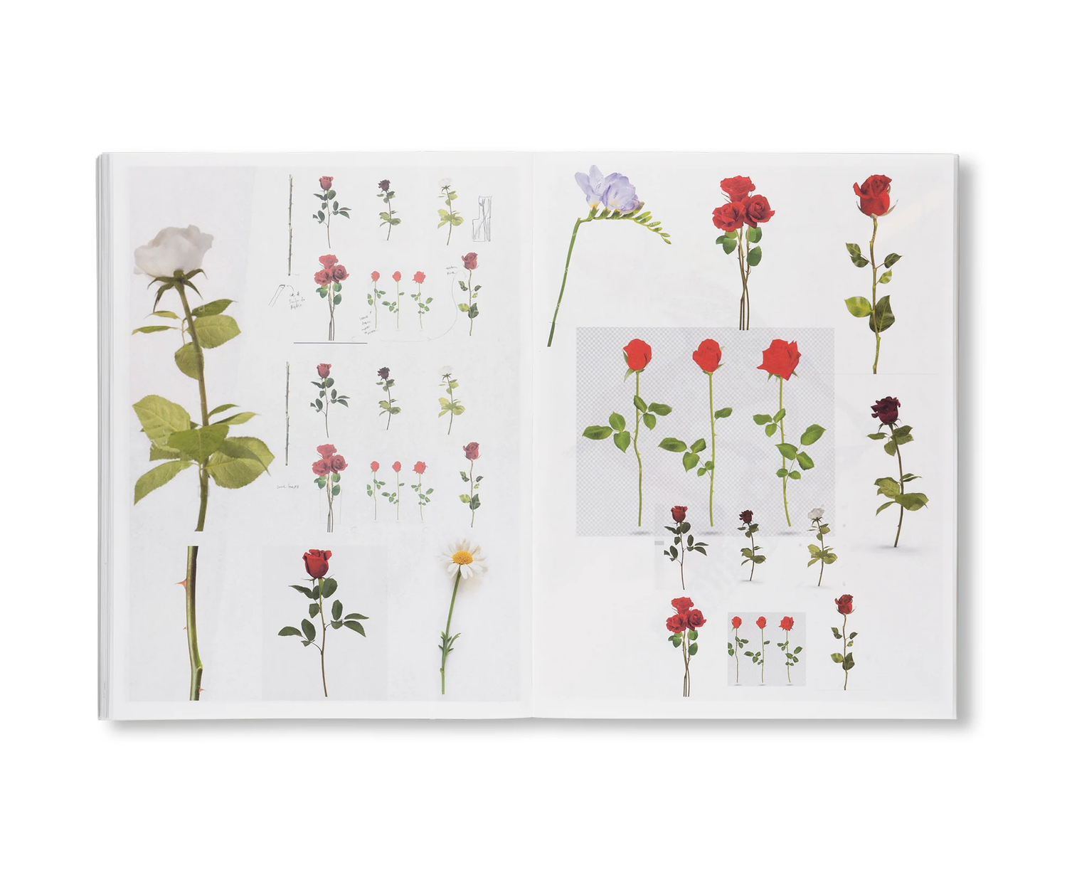 DEAREST / Magali Reus