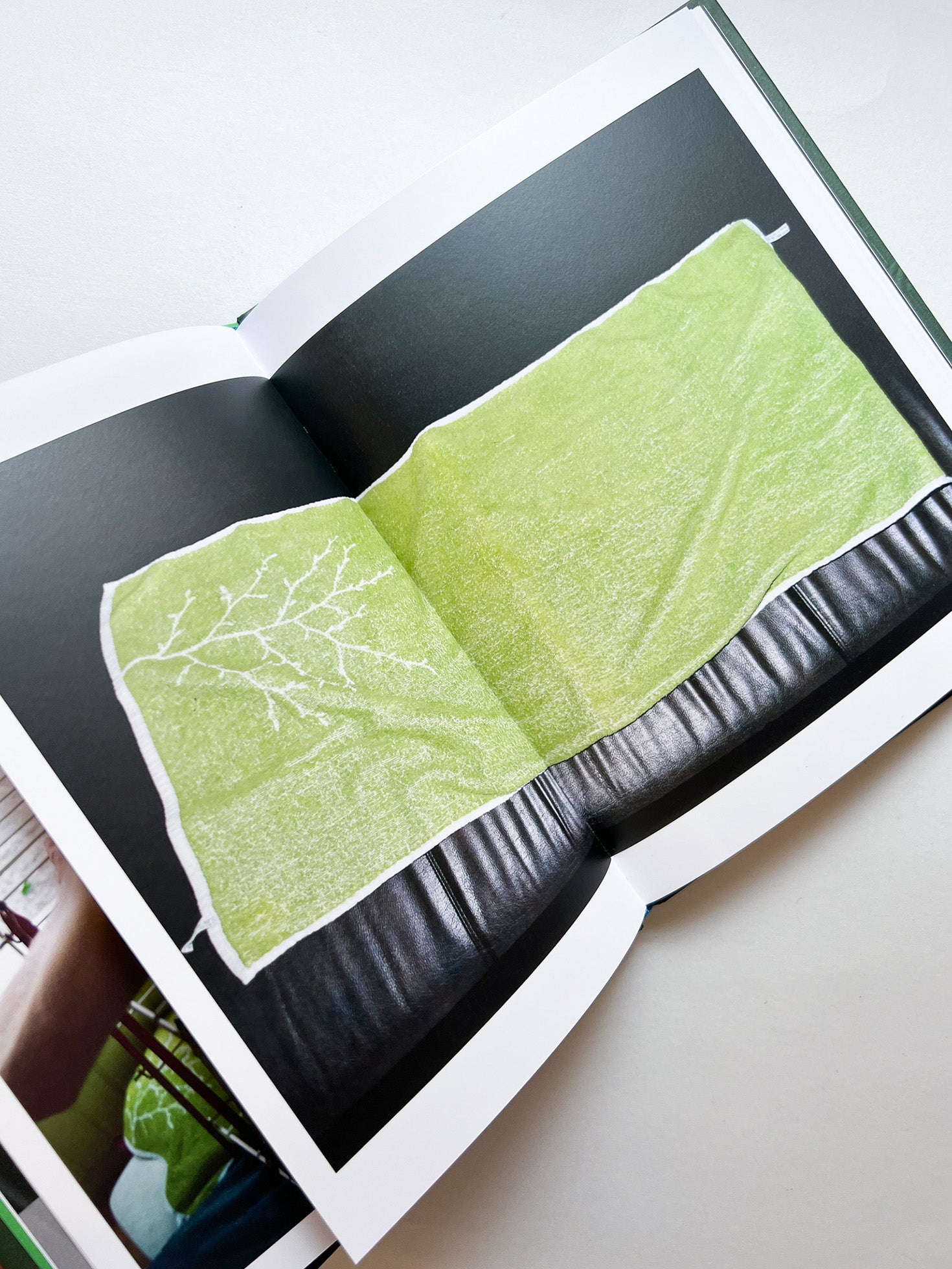 FOLIO /  Viviane Sassen