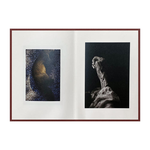 Epiphany / Shimpei Yamagami [SIGNED]