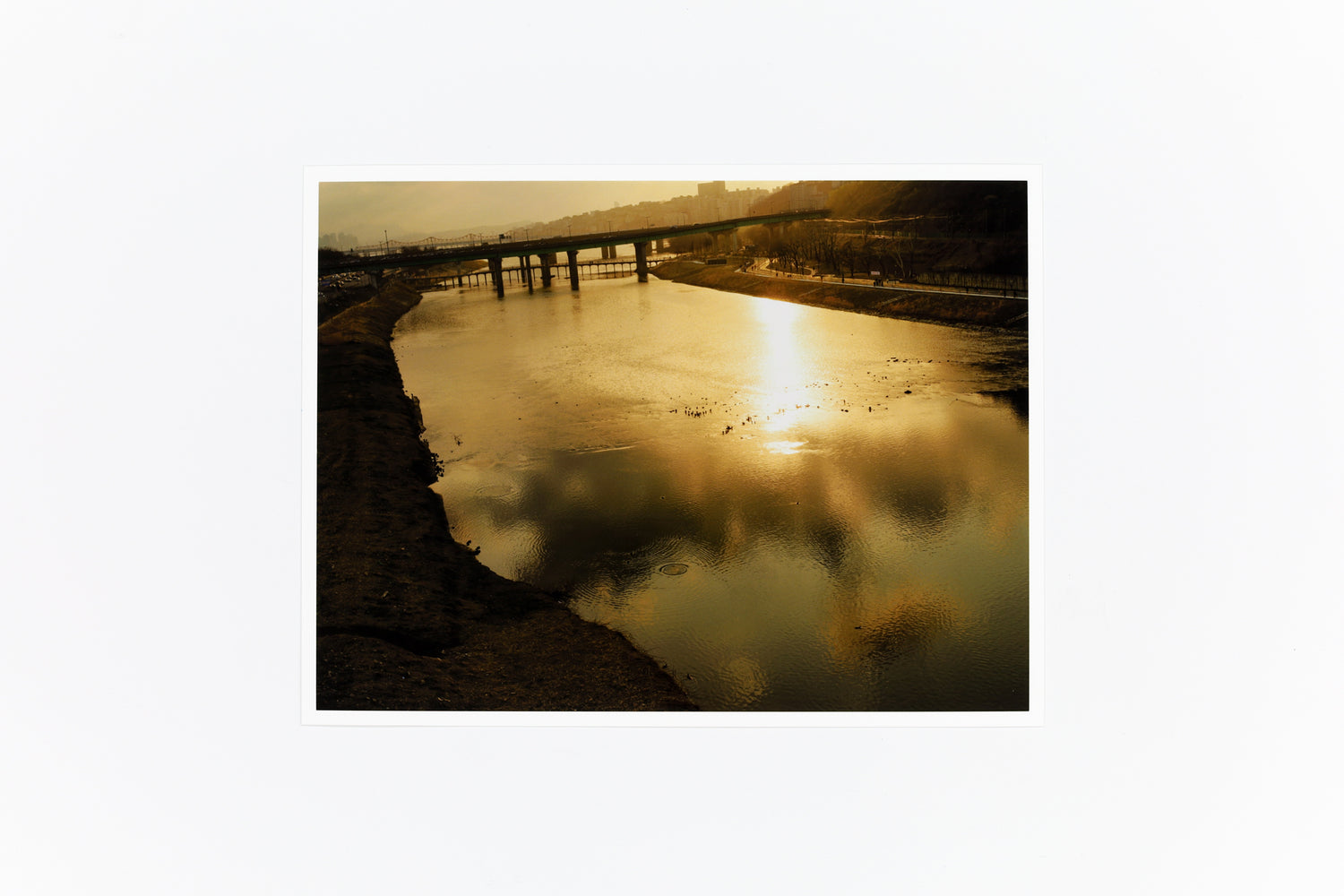 特装版 サランラン 사란란 Sa-lanlan / Kotori Kawashima [Special Edition]