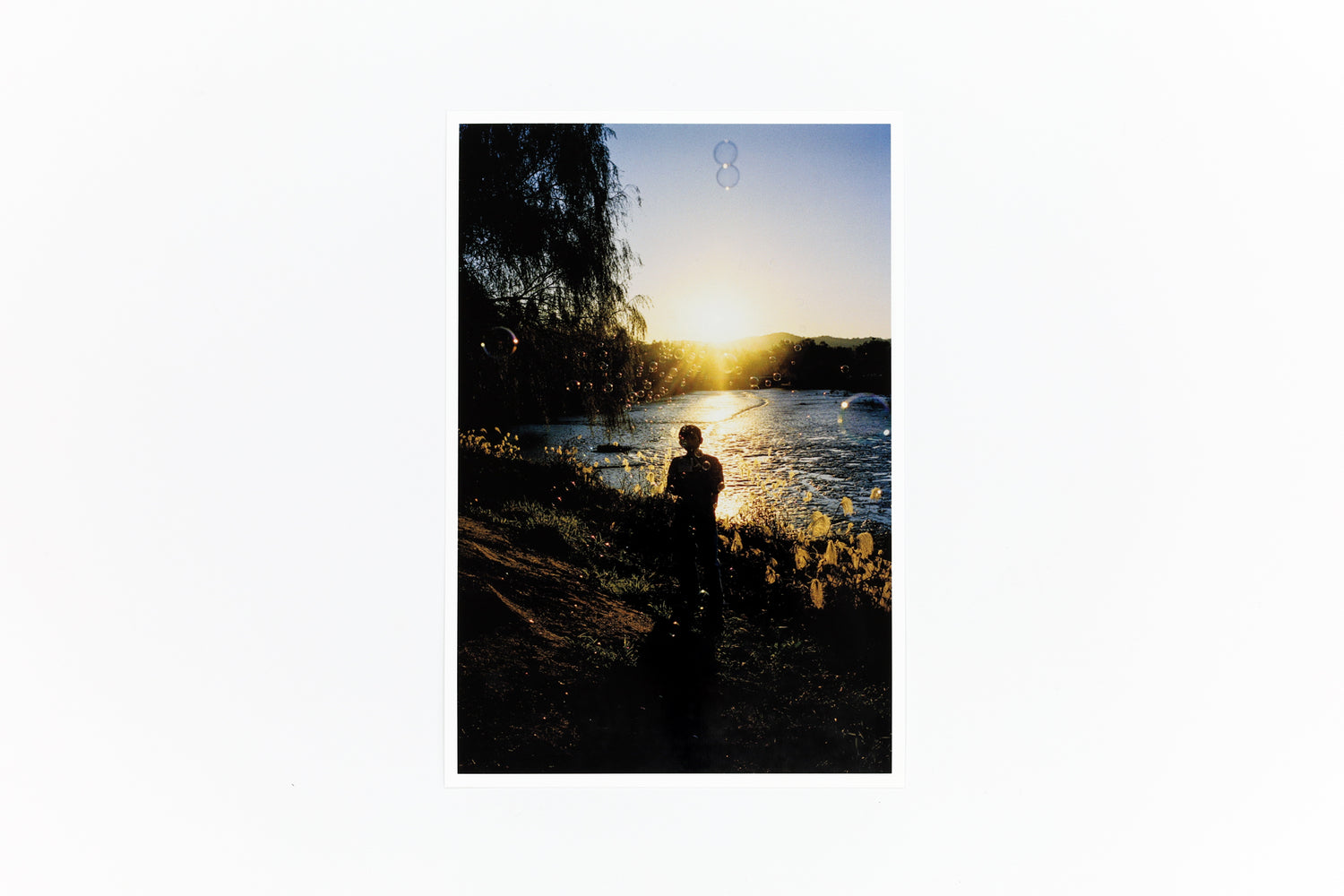 特装版 サランラン 사란란 Sa-lanlan / Kotori Kawashima [Special Edition]