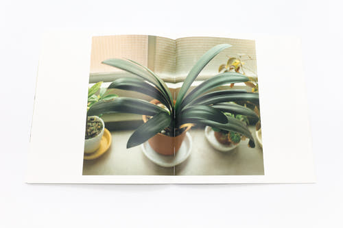 [Pre-order] Reprint Ikiteiru / Masafumi Sanai [SIGNED]