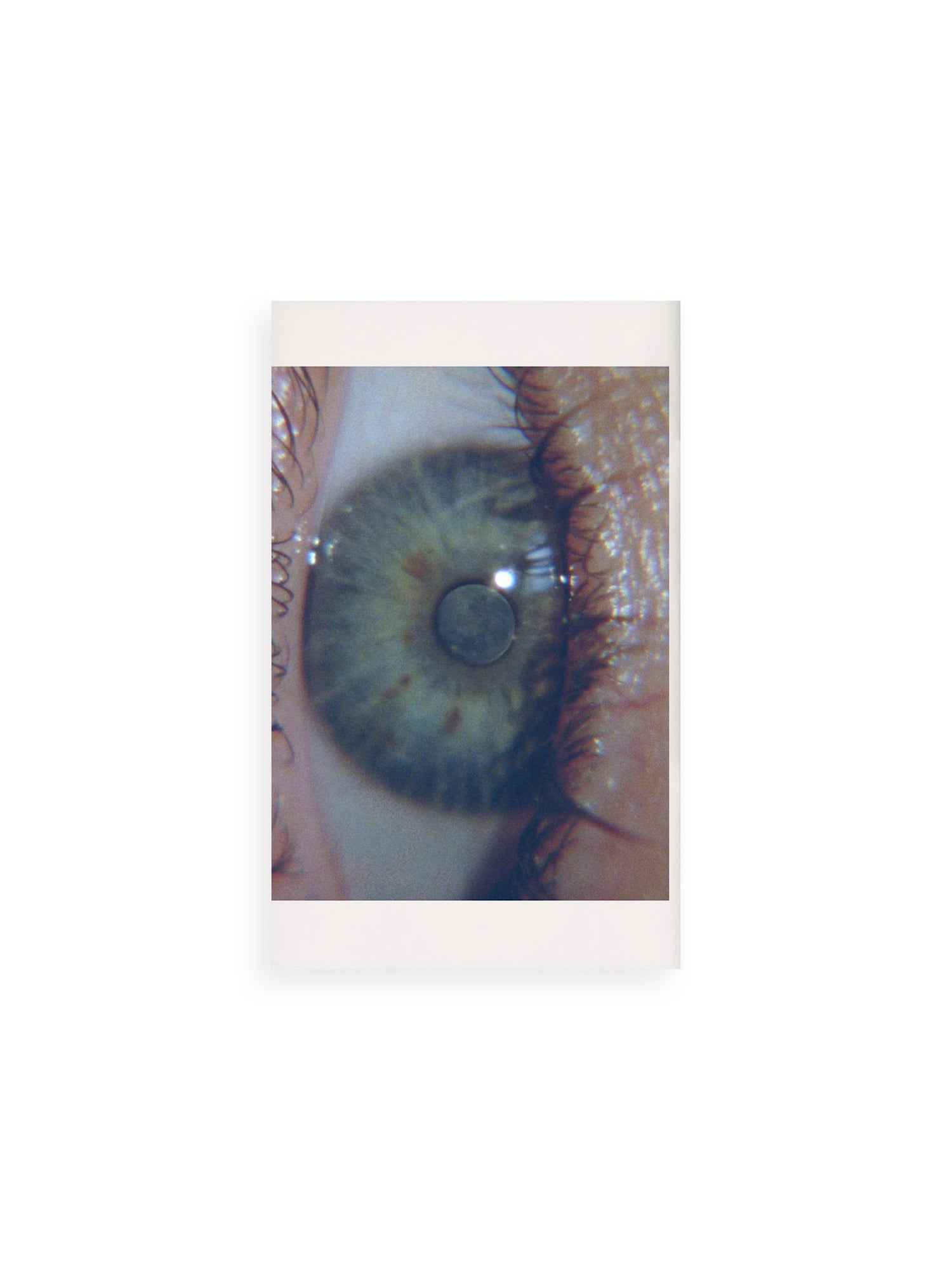 COLLECTIVE STUDY, ENQUIRY #5 / Goldwin 0