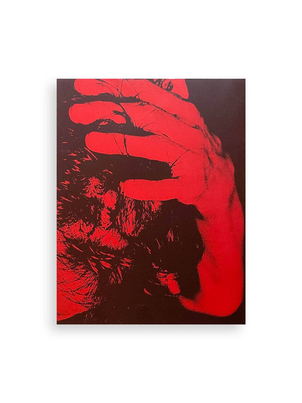 Flashpoint! Protest Photography in Print, 1950-Present