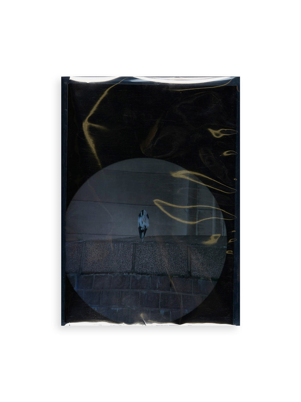 Foundations / Víctor Santamarina