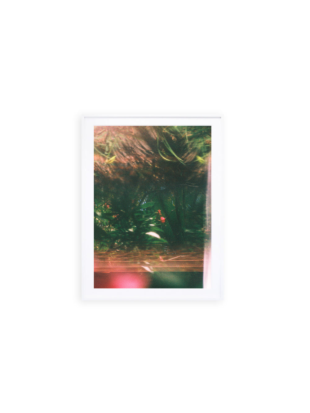 ー・・ Print G [SIGNED / FRAMED]