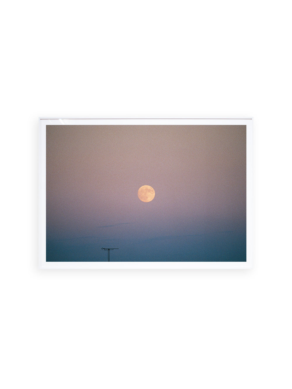 ー・・ Print D [SIGNED / FRAMED]