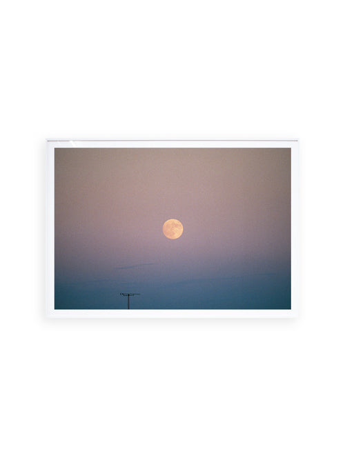 ー・・ Print D [SIGNED / FRAMED]