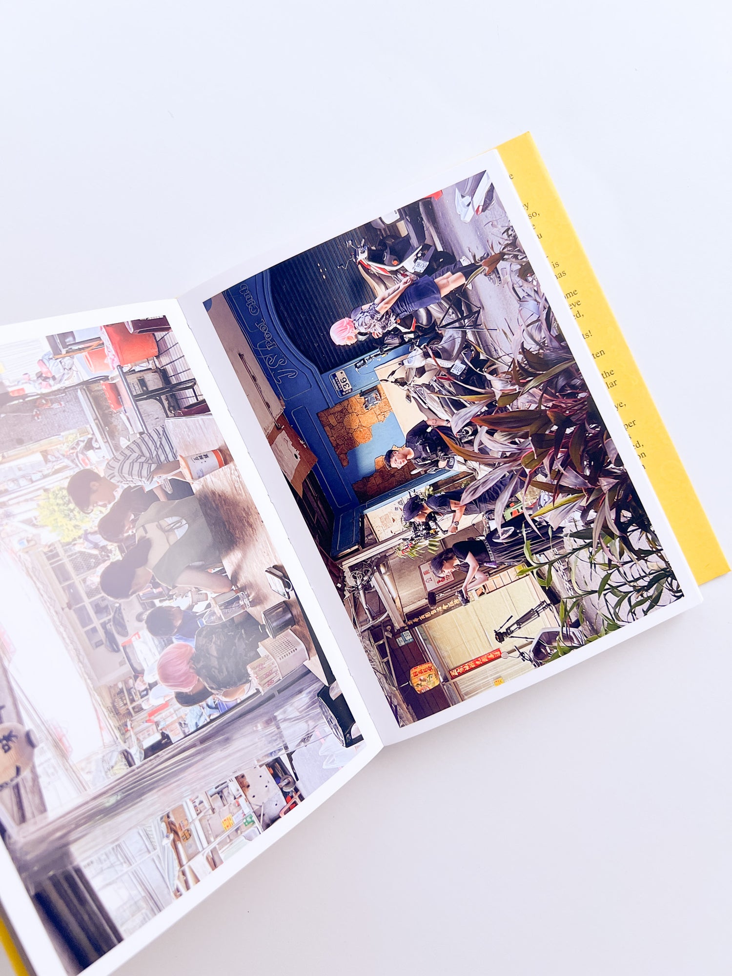 Missing / Mooni Perry