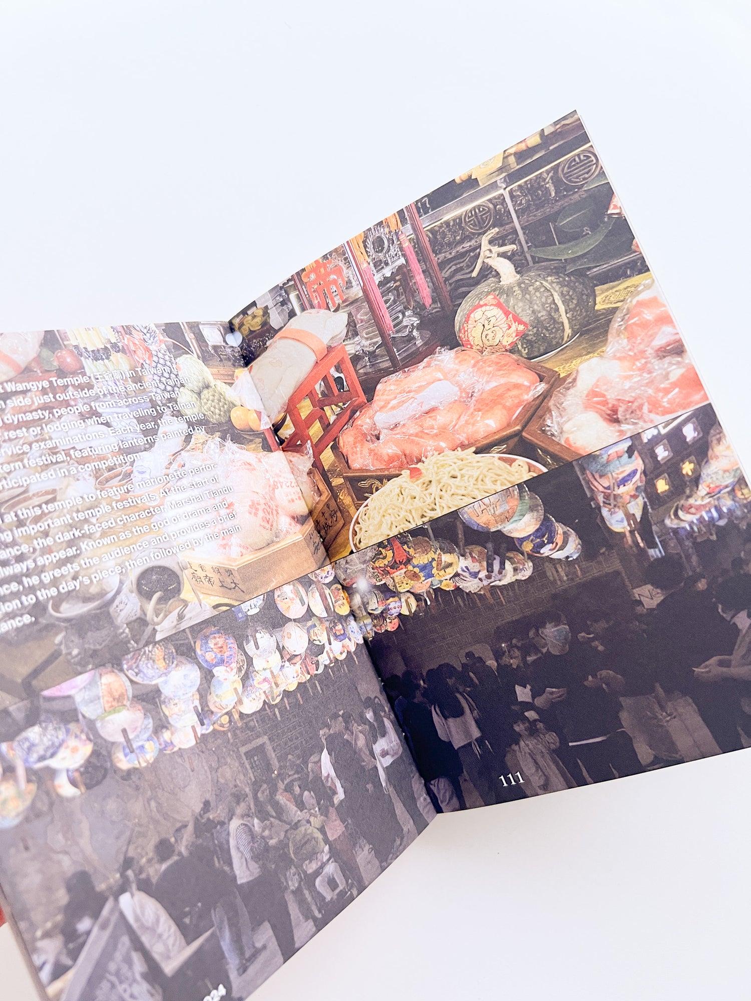 Missing / Mooni Perry