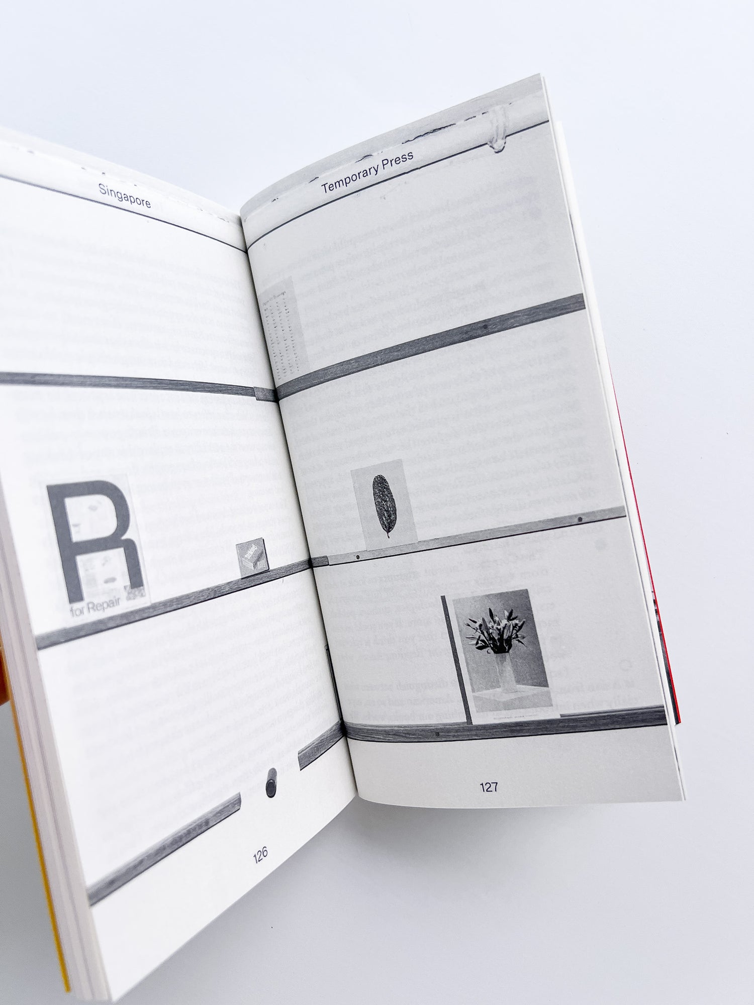 Donating books to the reading room