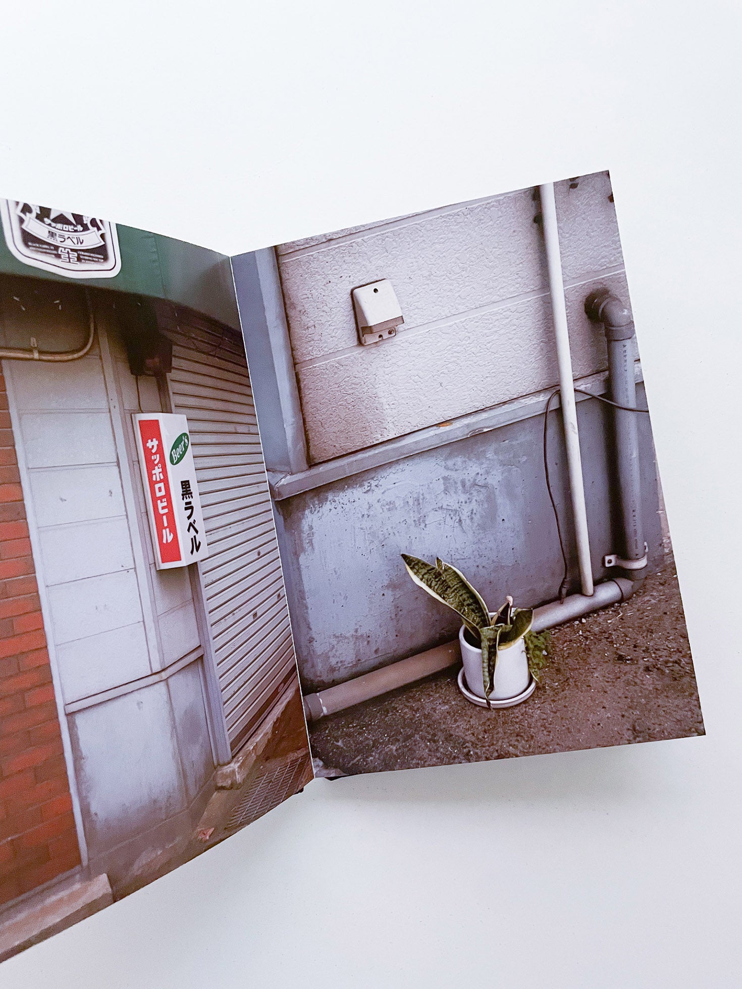 Black Label / Thomas Demand