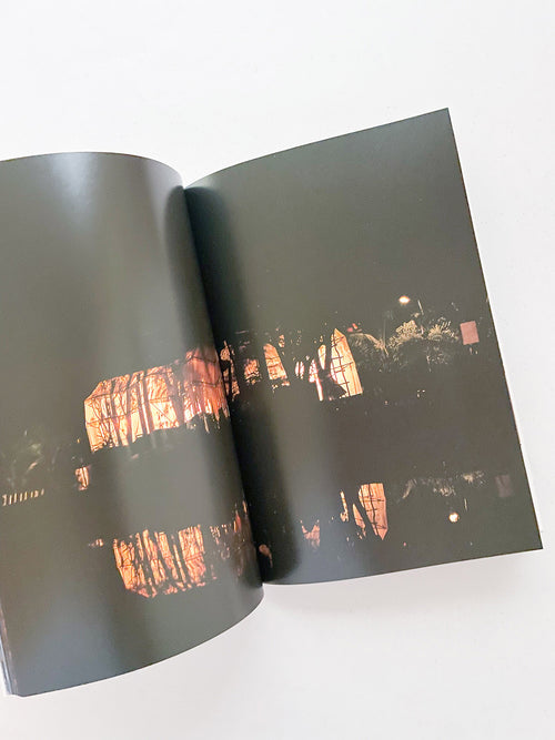 THE BOY FROM MARS / Philippe Parreno