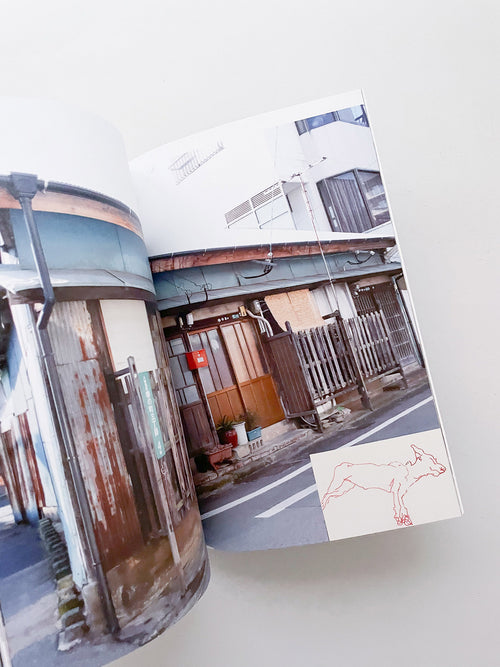 Double Lunar Rabbit / Joan Jonas