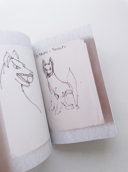 Double Lunar Rabbit / Joan Jonas