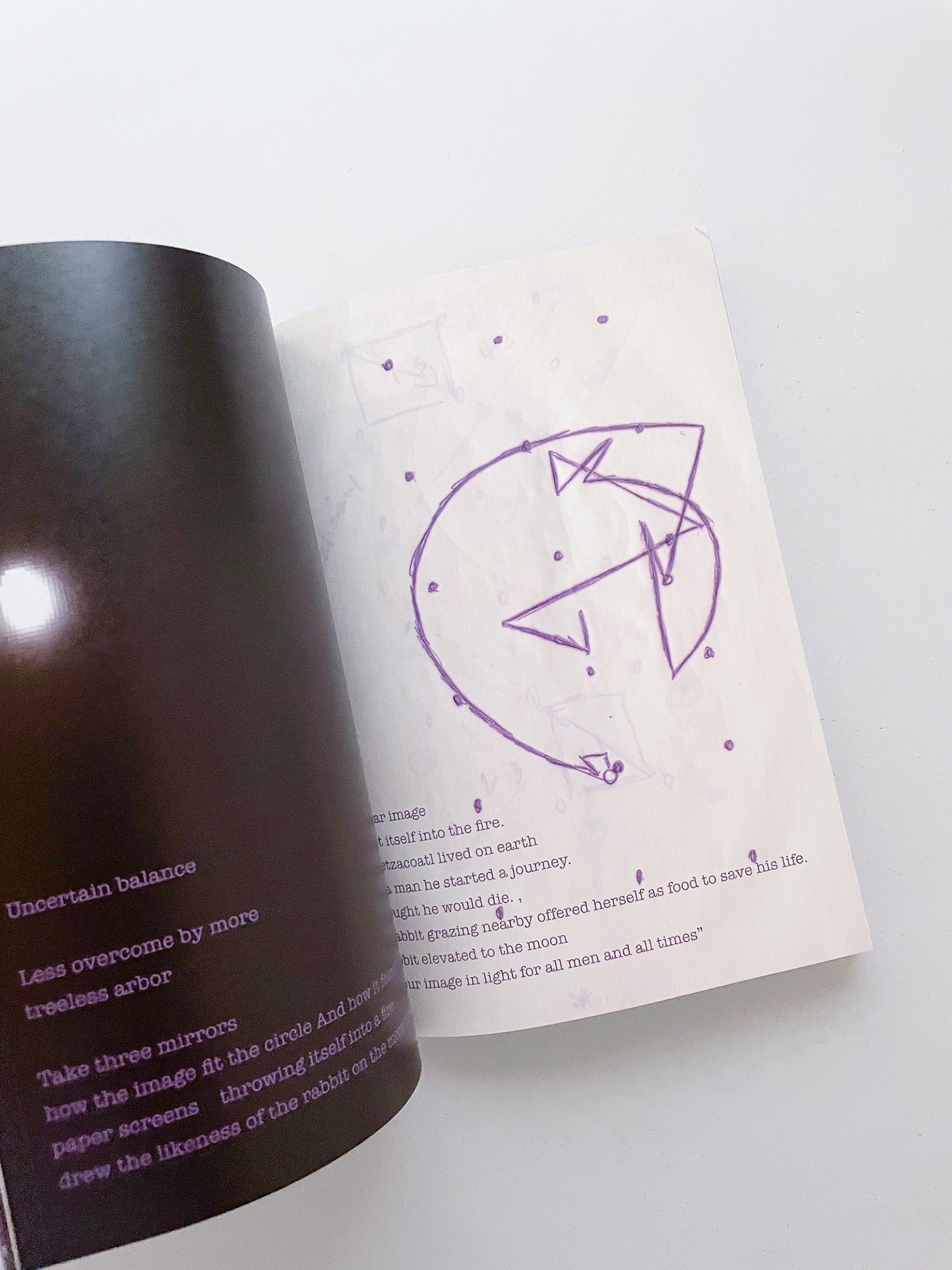 Double Lunar Rabbit / Joan Jonas