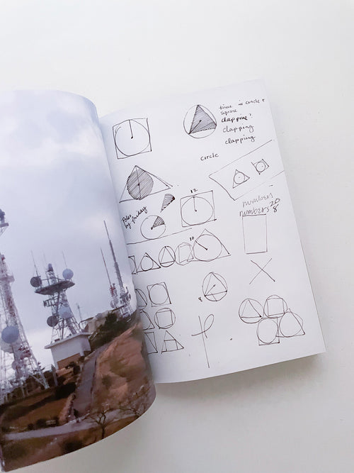 Double Lunar Rabbit / Joan Jonas