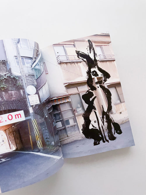 Double Lunar Rabbit / Joan Jonas