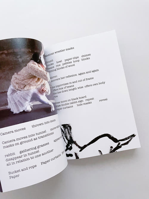 Double Lunar Rabbit / Joan Jonas