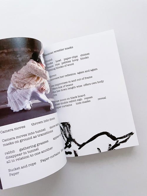 Double Lunar Rabbit / Joan Jonas