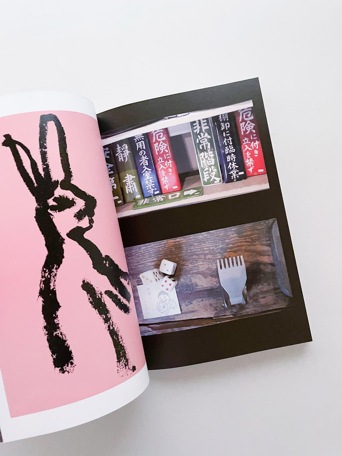 Double Lunar Rabbit / Joan Jonas