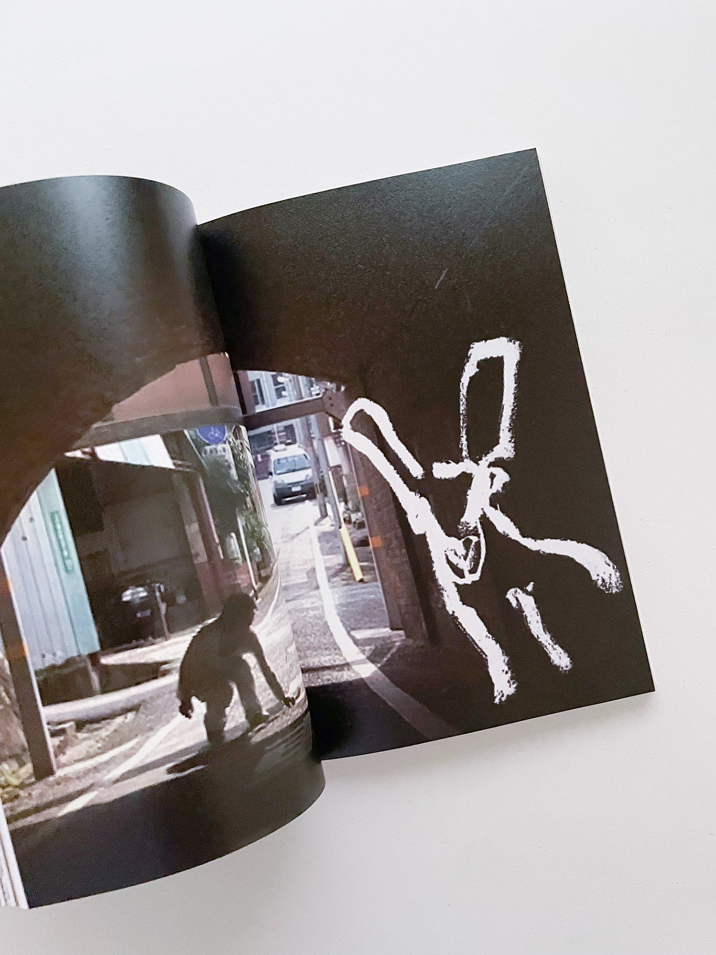 Double Lunar Rabbit / Joan Jonas