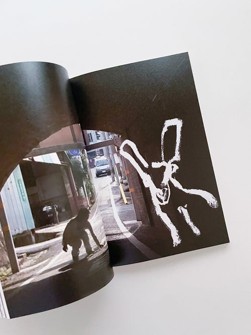 Double Lunar Rabbit / Joan Jonas