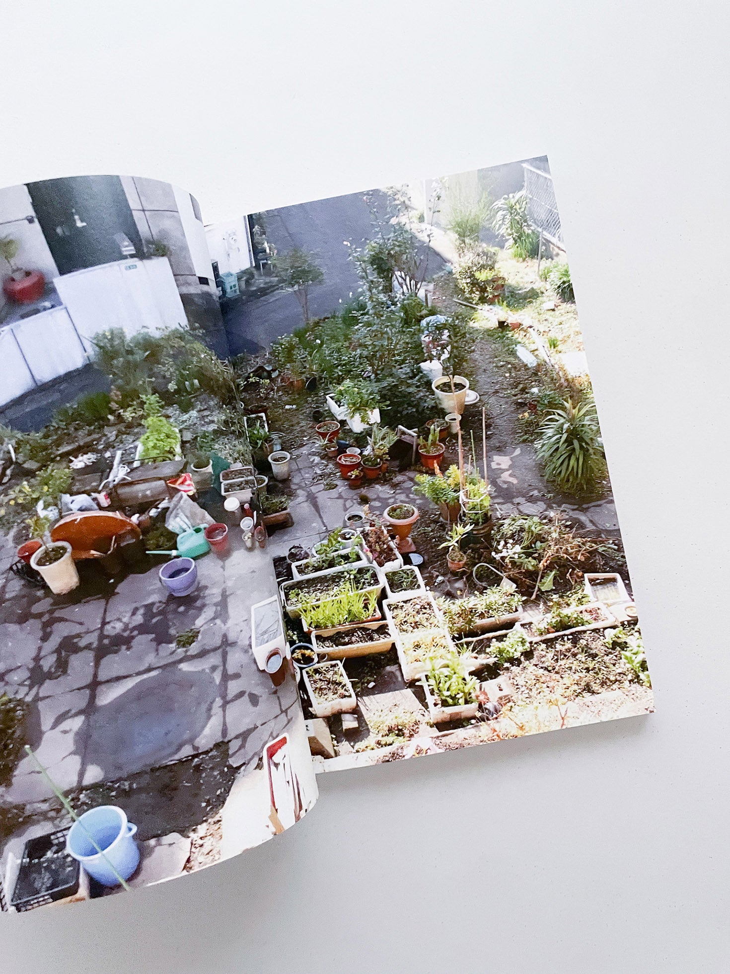 Double Lunar Rabbit / Joan Jonas