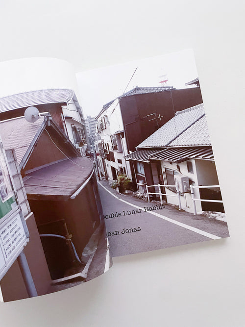 Double Lunar Rabbit / Joan Jonas