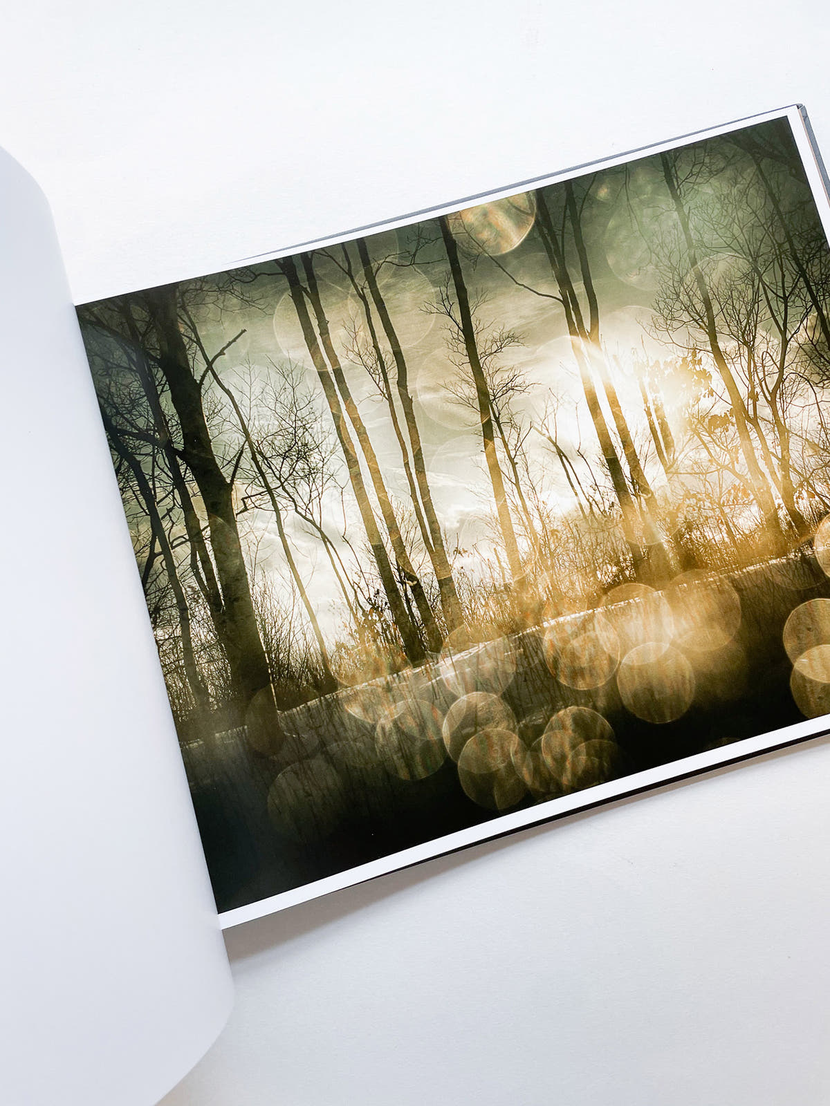 THE END SENDS ADVANCE WARNING / Todd Hido