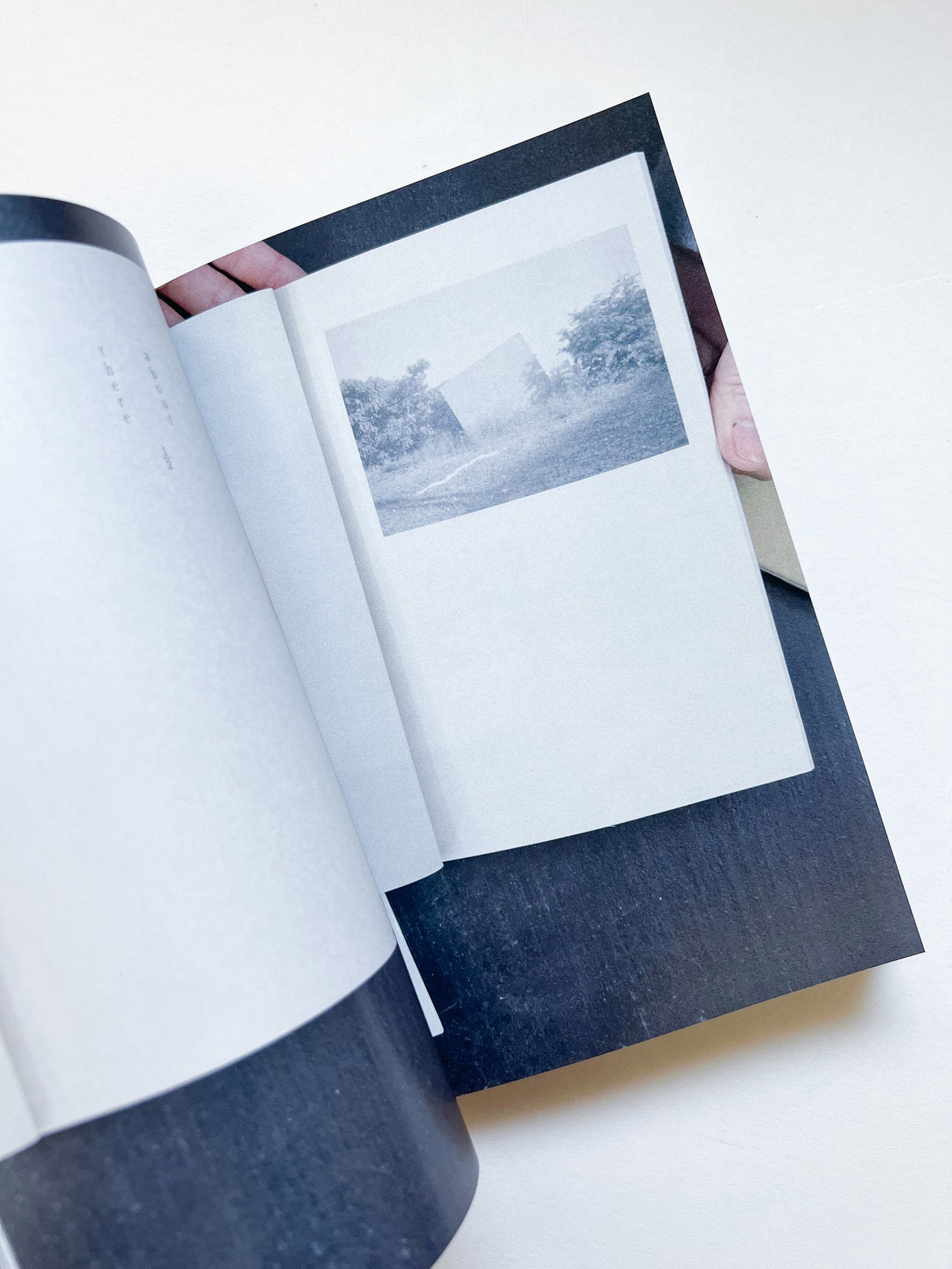 YYYYYYYYYY──米山菜津子の仕事と周辺