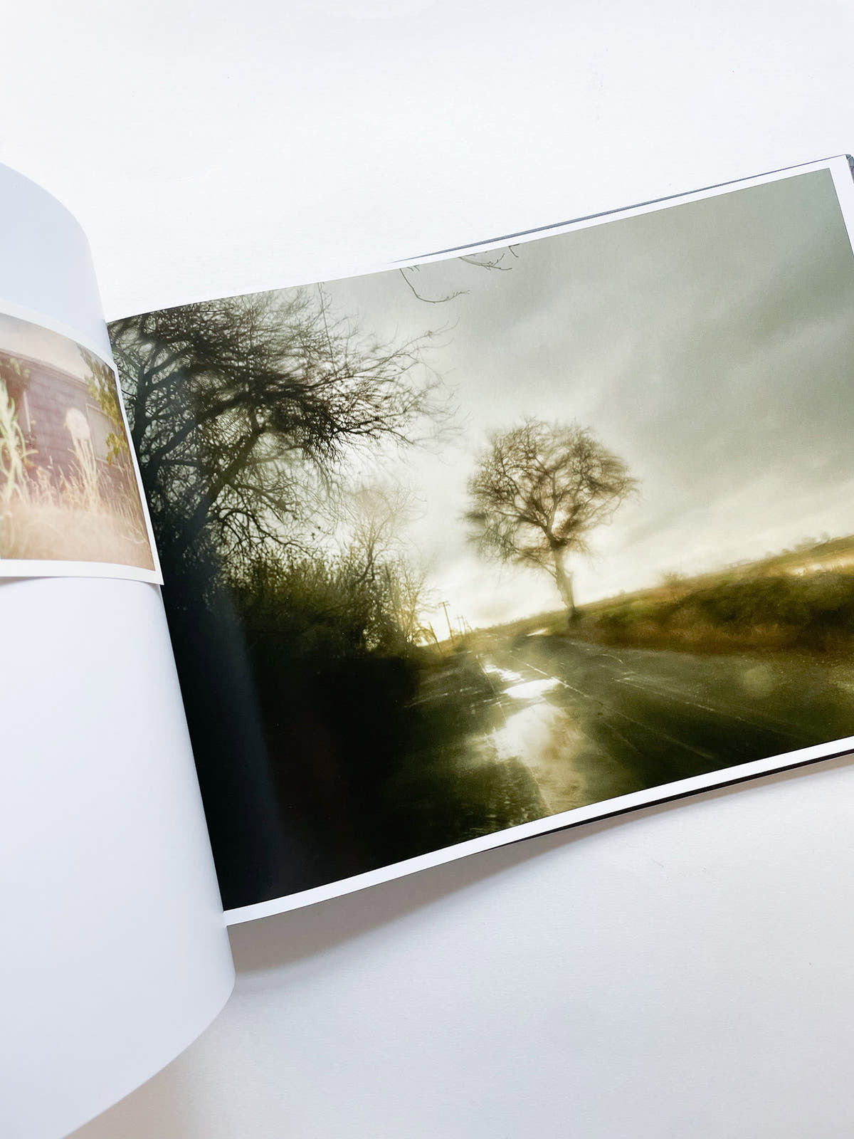 THE END SENDS ADVANCE WARNING / Todd Hido