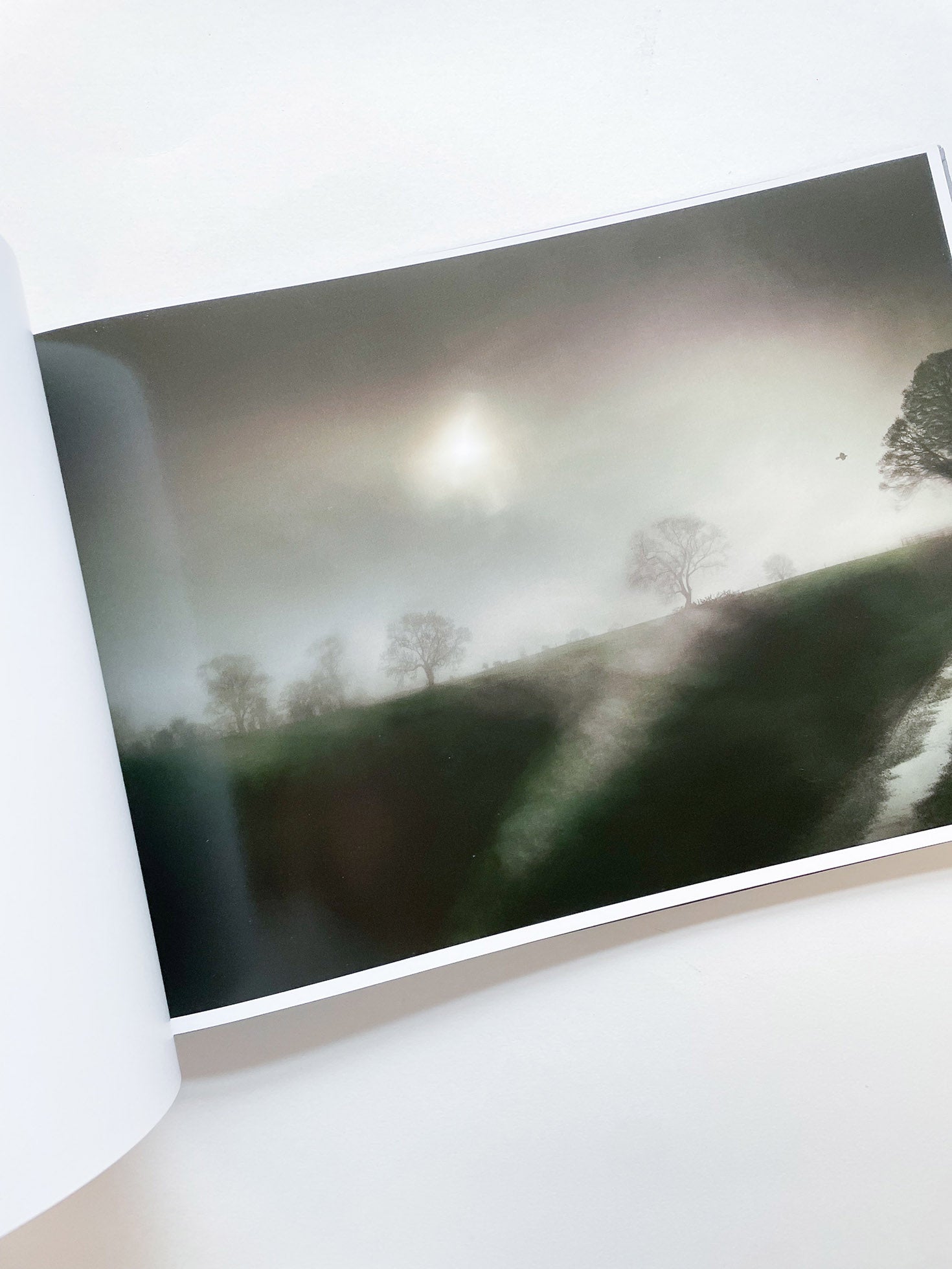 THE END SENDS ADVANCE WARNING / Todd Hido