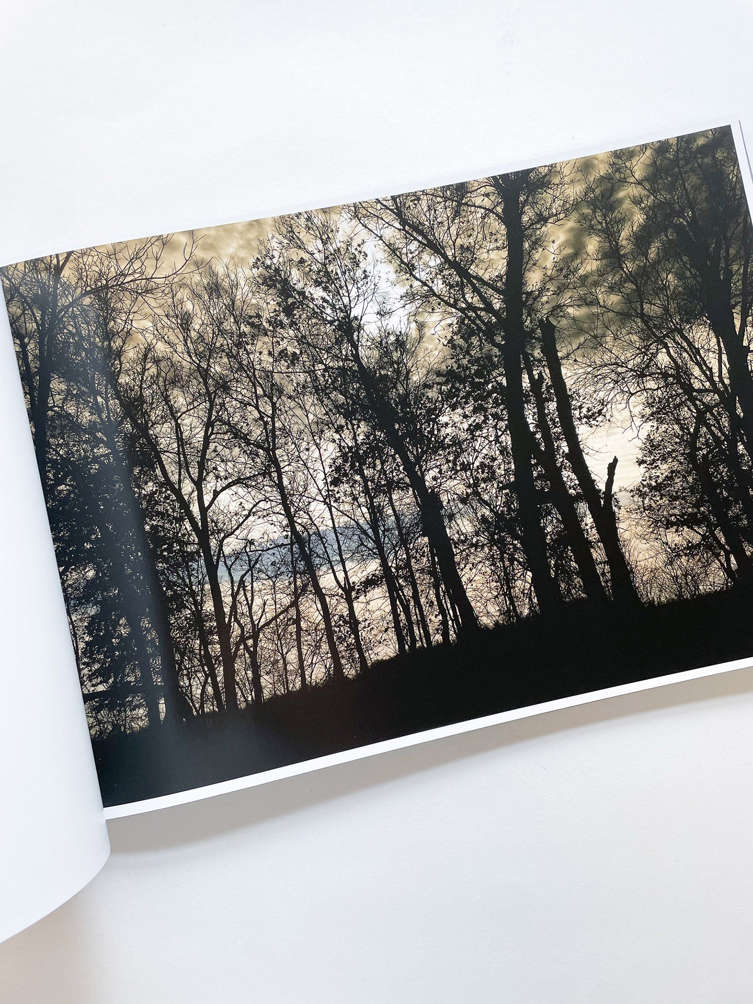 THE END SENDS ADVANCE WARNING / Todd Hido