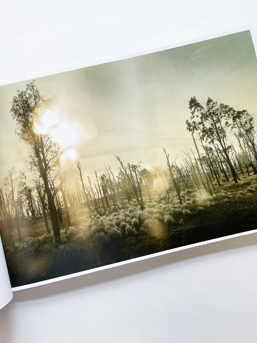 THE END SENDS ADVANCE WARNING / Todd Hido