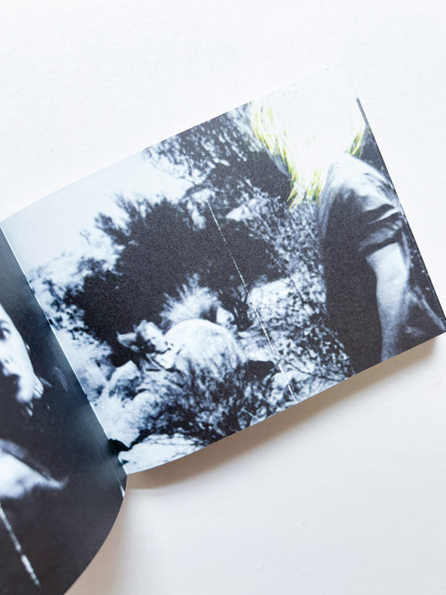 Murmur, Orbus / Ellen Gallagher